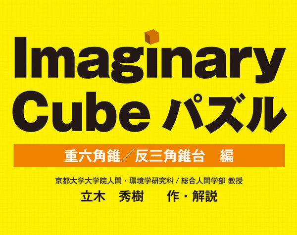 イマジナリーキューブ・パズル (Imaginary Cube Puzzle)