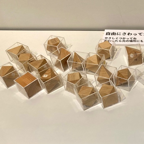 16種類の凸多面体イマジナリーキューブ